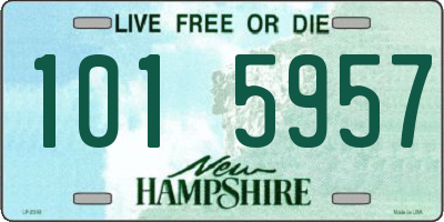 NH license plate 1015957