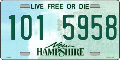NH license plate 1015958