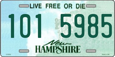 NH license plate 1015985