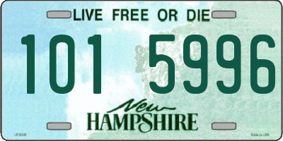 NH license plate 1015996
