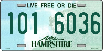NH license plate 1016036