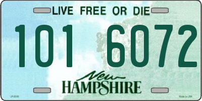 NH license plate 1016072