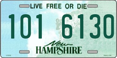 NH license plate 1016130