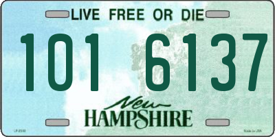 NH license plate 1016137