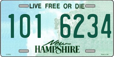 NH license plate 1016234