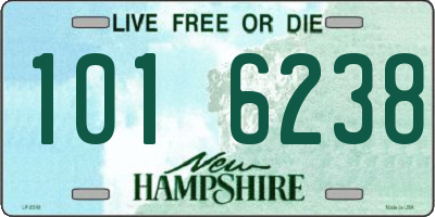 NH license plate 1016238