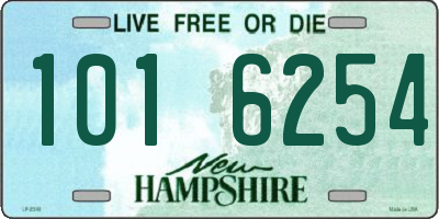 NH license plate 1016254
