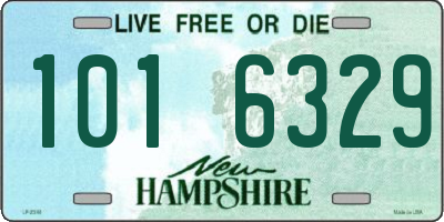 NH license plate 1016329