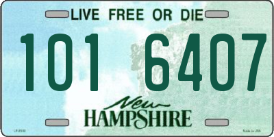 NH license plate 1016407
