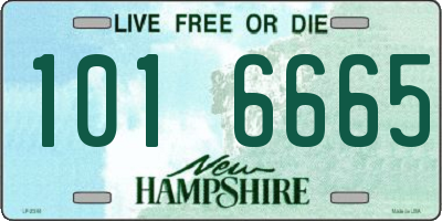 NH license plate 1016665