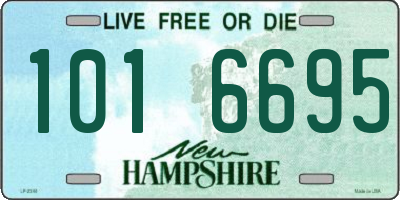 NH license plate 1016695