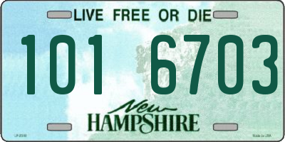 NH license plate 1016703