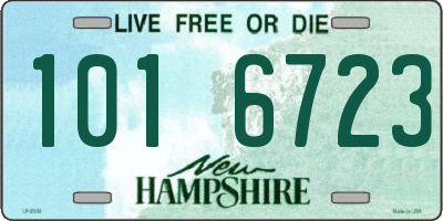 NH license plate 1016723