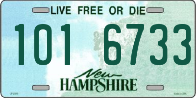 NH license plate 1016733