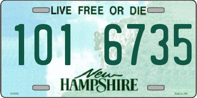 NH license plate 1016735