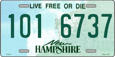 NH license plate 1016737