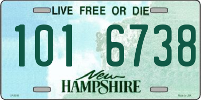 NH license plate 1016738