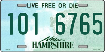 NH license plate 1016765