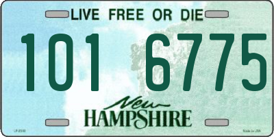 NH license plate 1016775