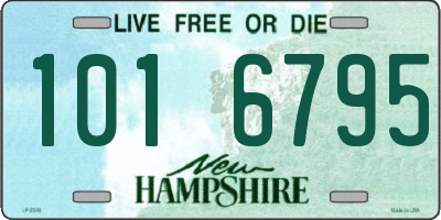 NH license plate 1016795