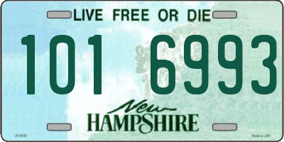 NH license plate 1016993