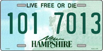 NH license plate 1017013