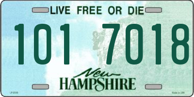 NH license plate 1017018