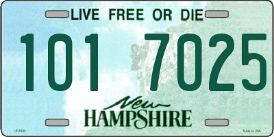 NH license plate 1017025