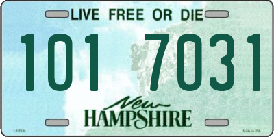 NH license plate 1017031