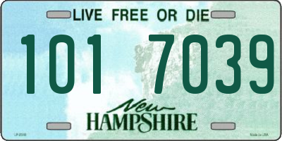 NH license plate 1017039
