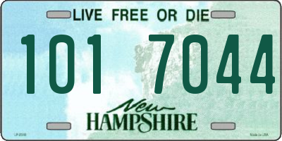 NH license plate 1017044