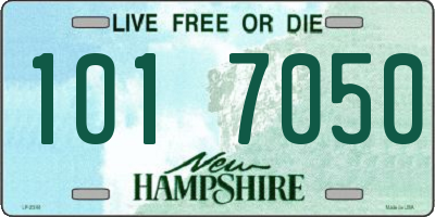 NH license plate 1017050