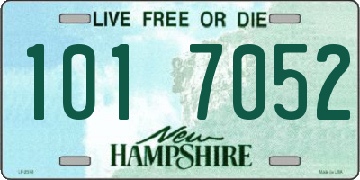 NH license plate 1017052