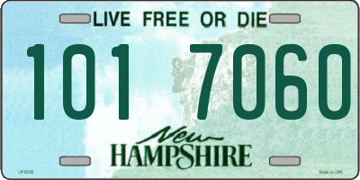 NH license plate 1017060