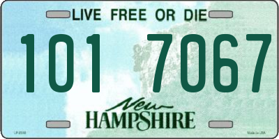 NH license plate 1017067