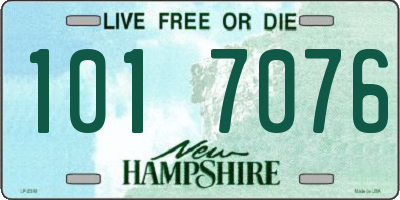NH license plate 1017076