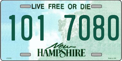 NH license plate 1017080