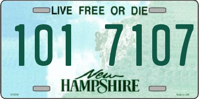 NH license plate 1017107