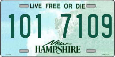 NH license plate 1017109