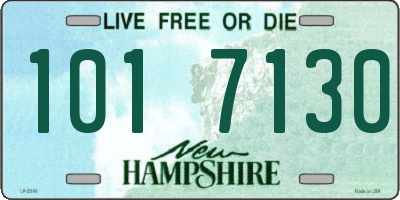 NH license plate 1017130