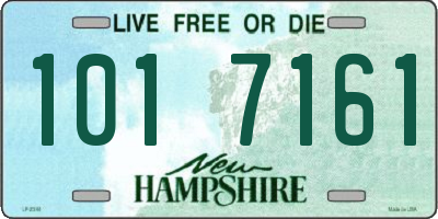 NH license plate 1017161