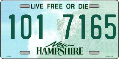 NH license plate 1017165