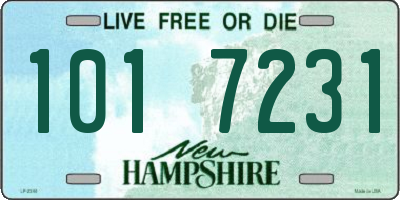 NH license plate 1017231