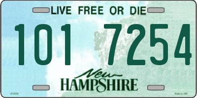 NH license plate 1017254