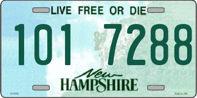 NH license plate 1017288