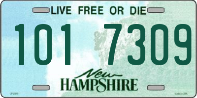 NH license plate 1017309