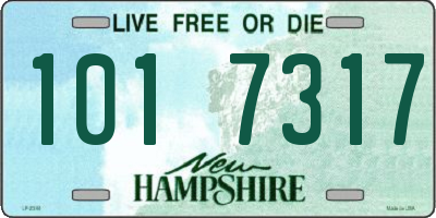 NH license plate 1017317