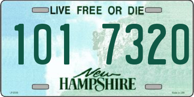 NH license plate 1017320