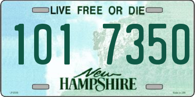 NH license plate 1017350