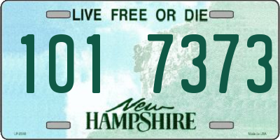 NH license plate 1017373